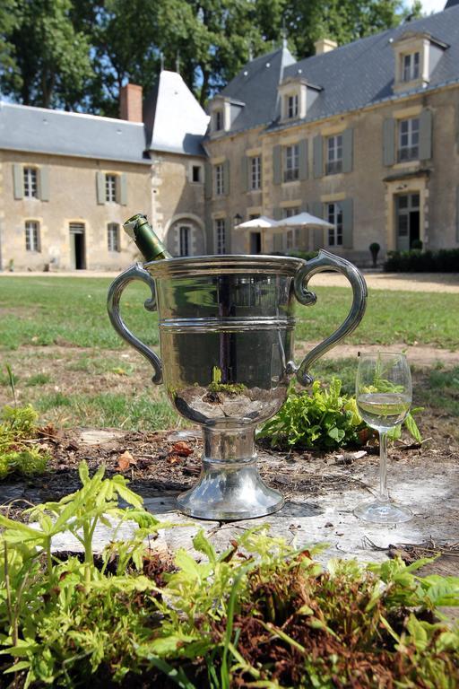Chateau De Planchevienne 마그니컬스 외부 사진
